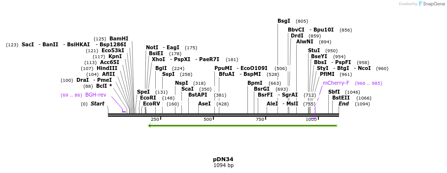 102119_map