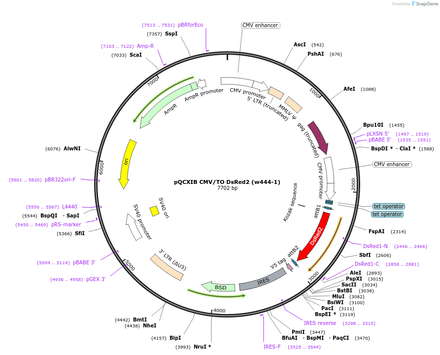 10212_map