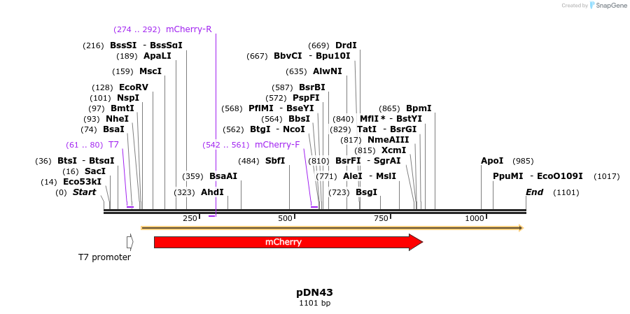 102124_map