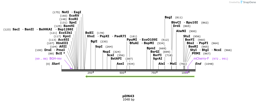 102126_map