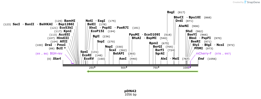 102129_map