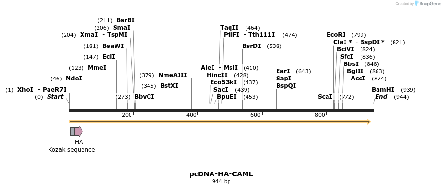 10213_map