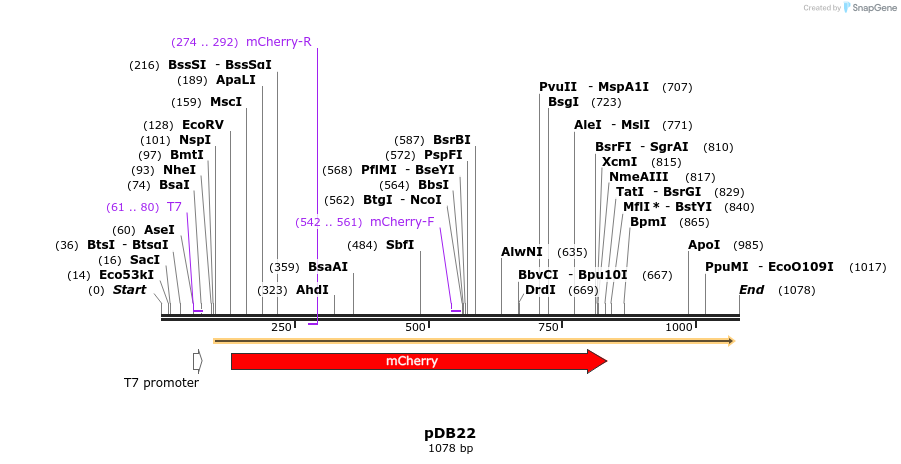 102132_map