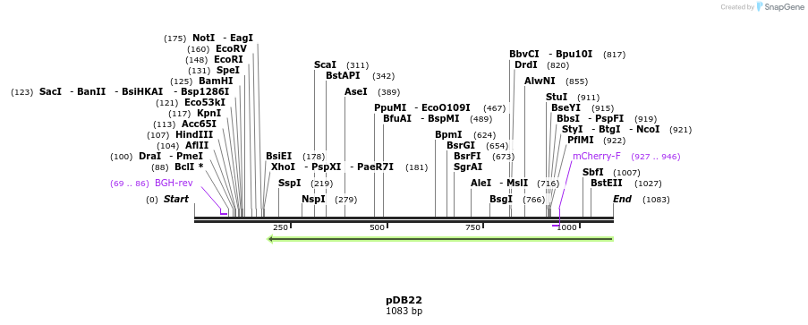 102134_map