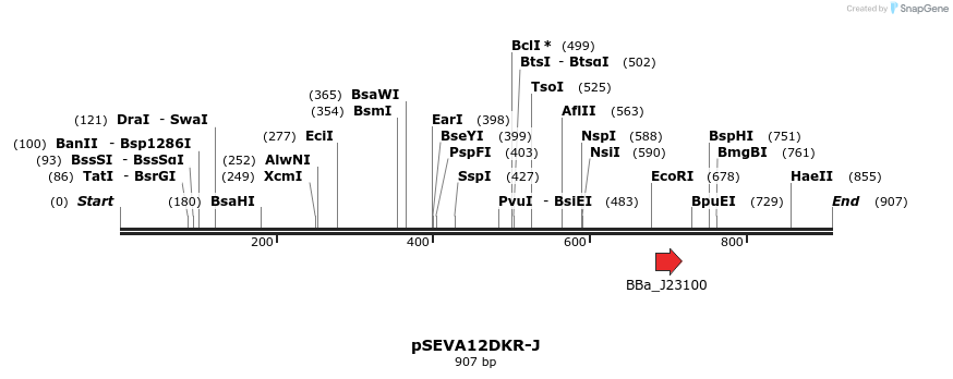 102142_map