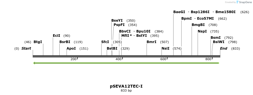 102153_map