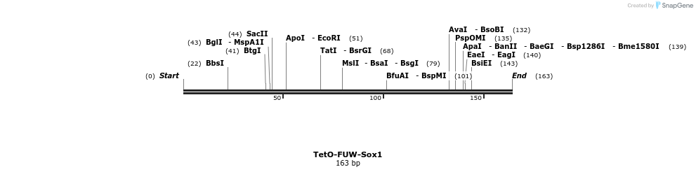 102155_map