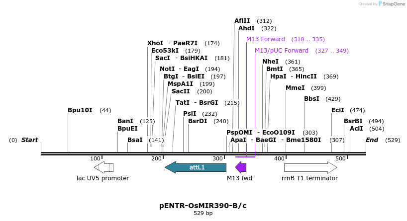 102156_map