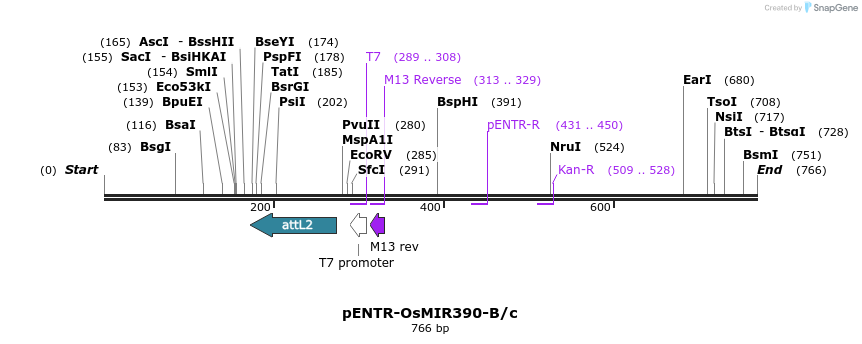 102157_map