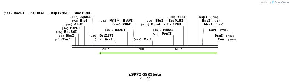102168_map