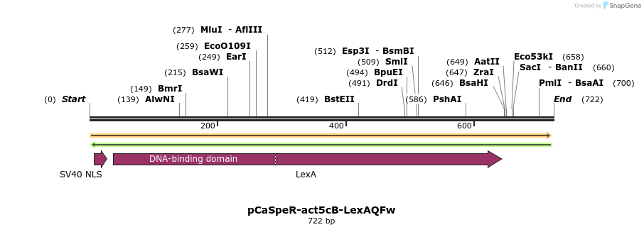 102175_map