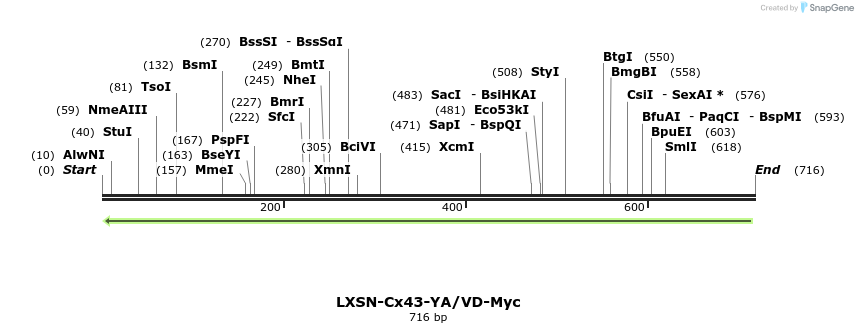102176_map