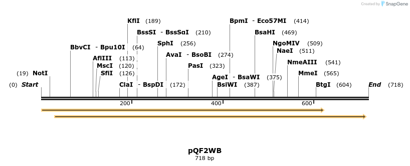 102177_map