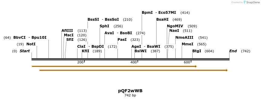 102178_map
