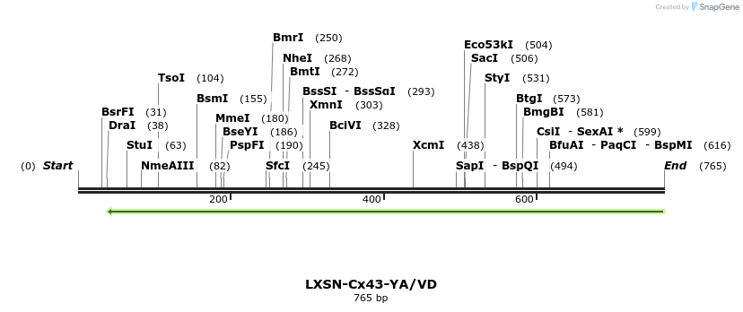 102179_map