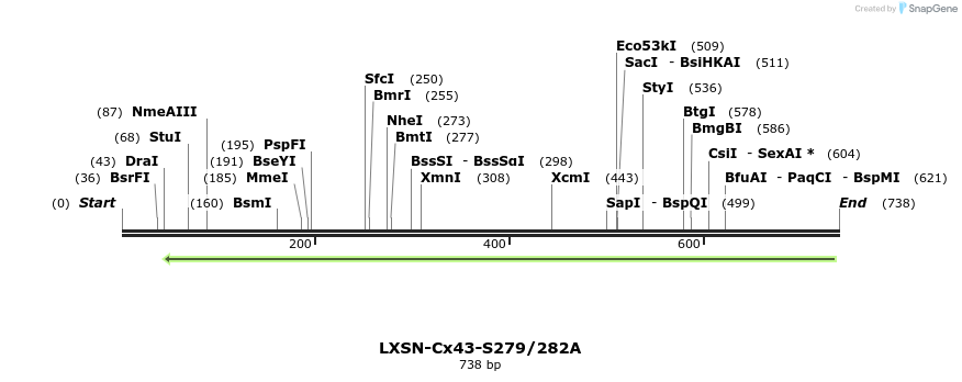 102184_map