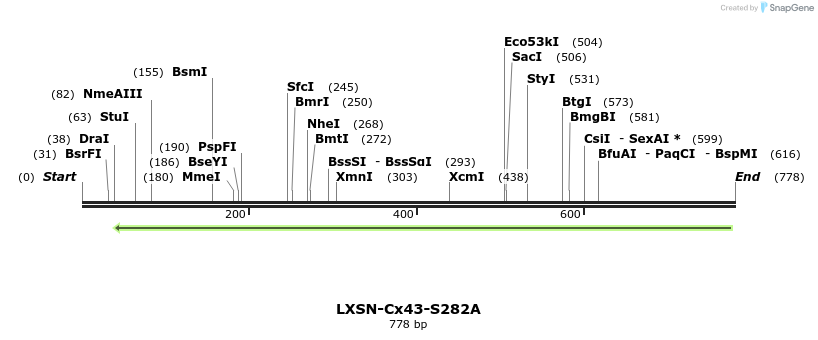 102185_map