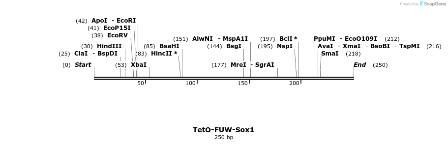 102219_map