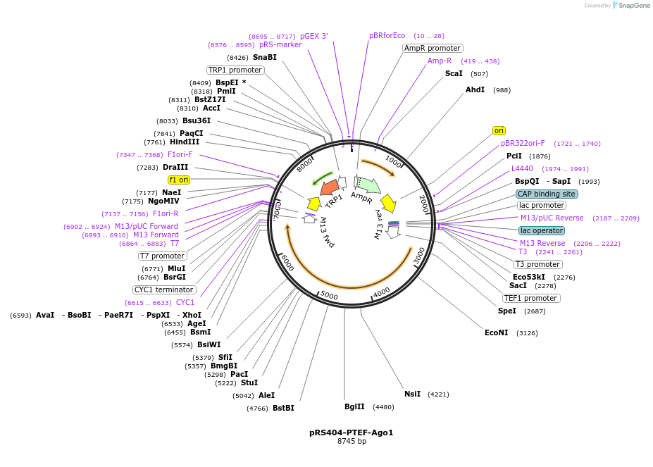 10224_map