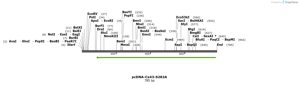 102241_map