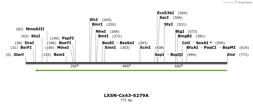 102243_map