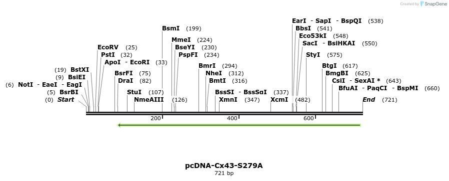 102246_map