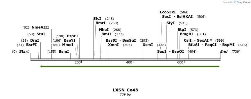 102247_map