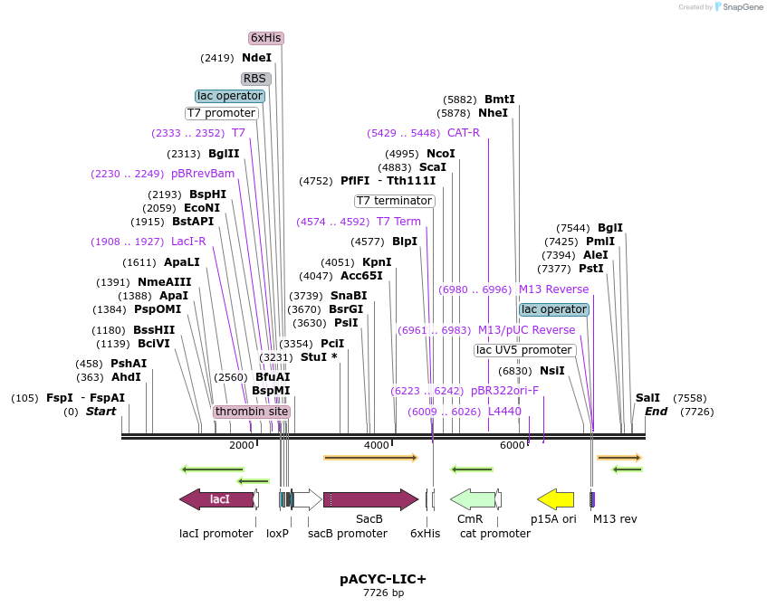102248_map