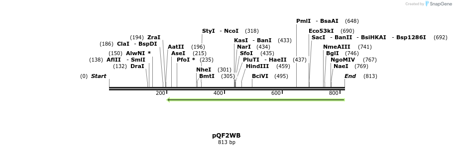 102270_map