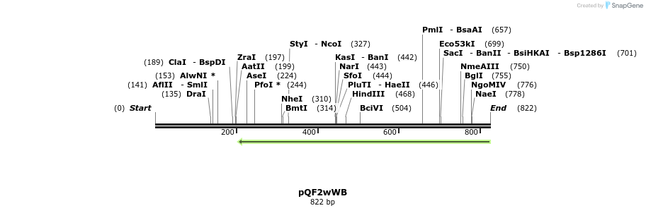 102271_map
