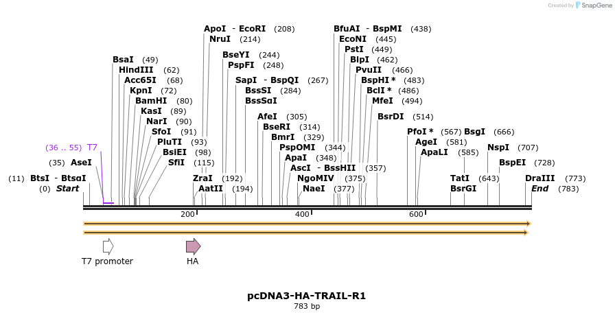 102273_map
