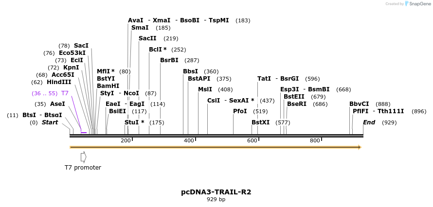 102274_map
