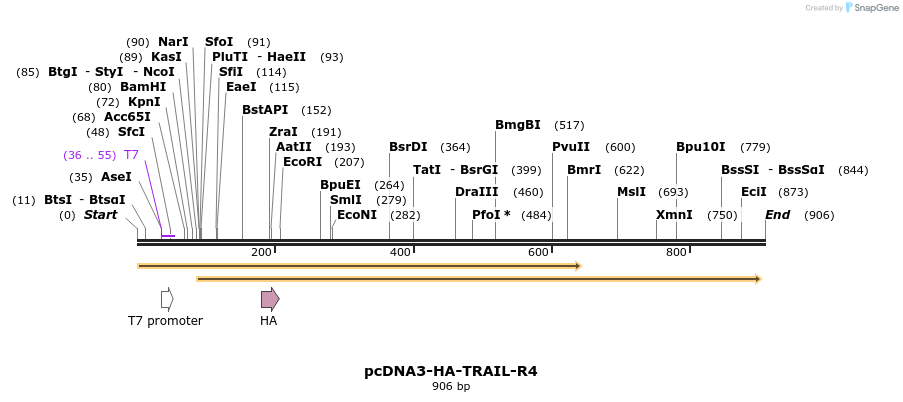 102277_map
