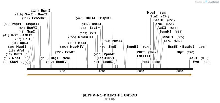 102282_map