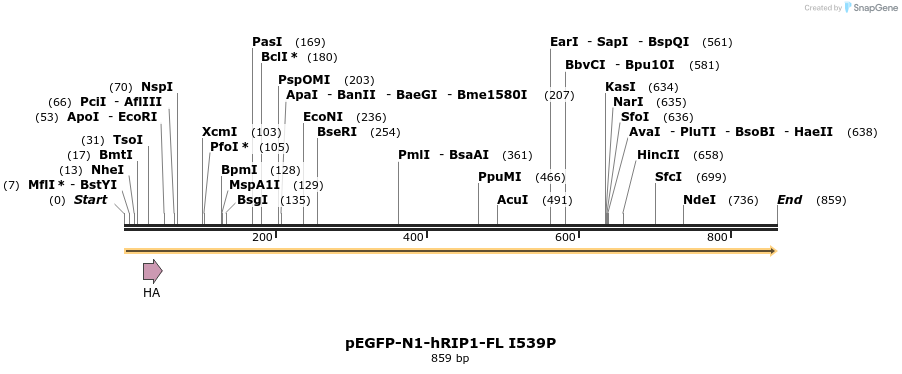 102284_map