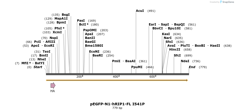 102285_map