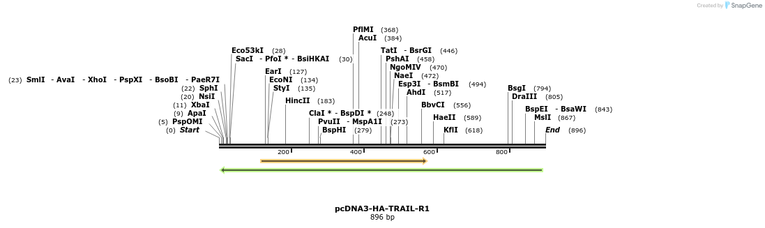 102286_map