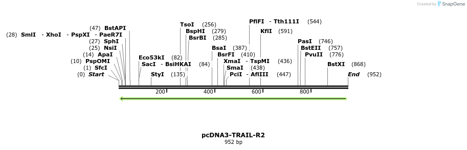 102288_map
