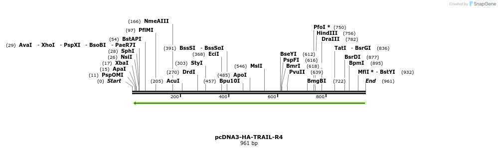 102292_map