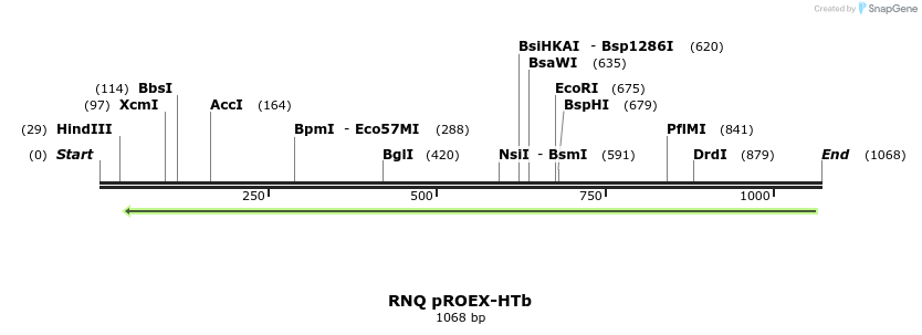 102295_map