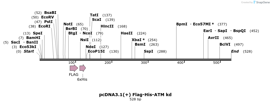 102297_map