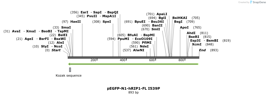102309_map