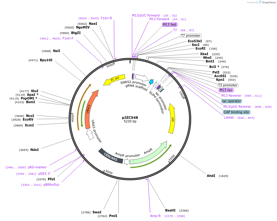 102313_map