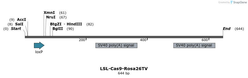 102349_map
