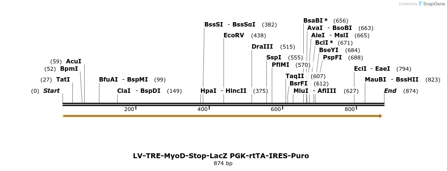 102350_map