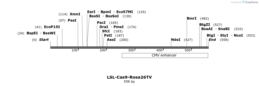 102351_map