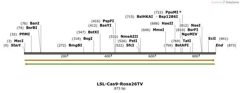 102352_map