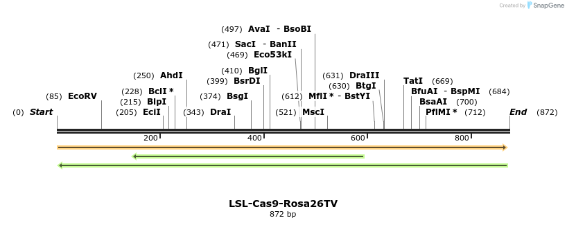 102353_map