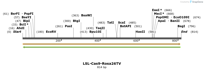 102354_map