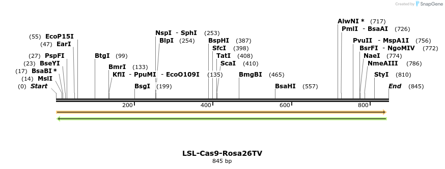 102355_map
